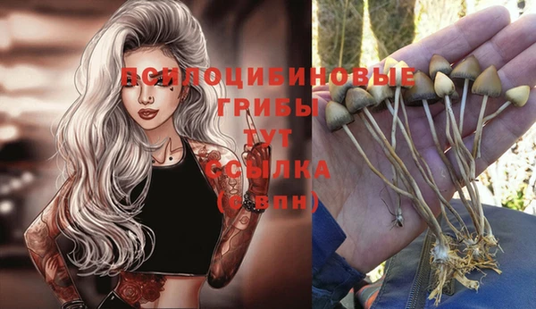 марихуана Аркадак
