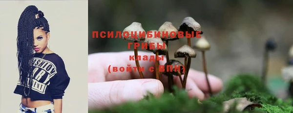 ПСИЛОЦИБИНОВЫЕ ГРИБЫ Алзамай