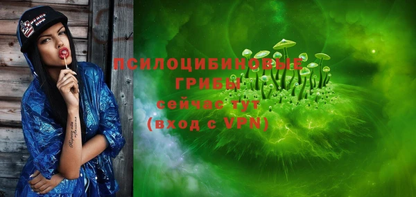 ПСИЛОЦИБИНОВЫЕ ГРИБЫ Алексин