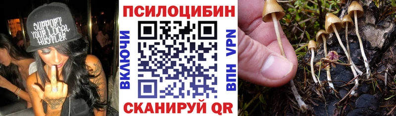 Псилоцибиновые грибы MAGIC MUSHROOMS Александров